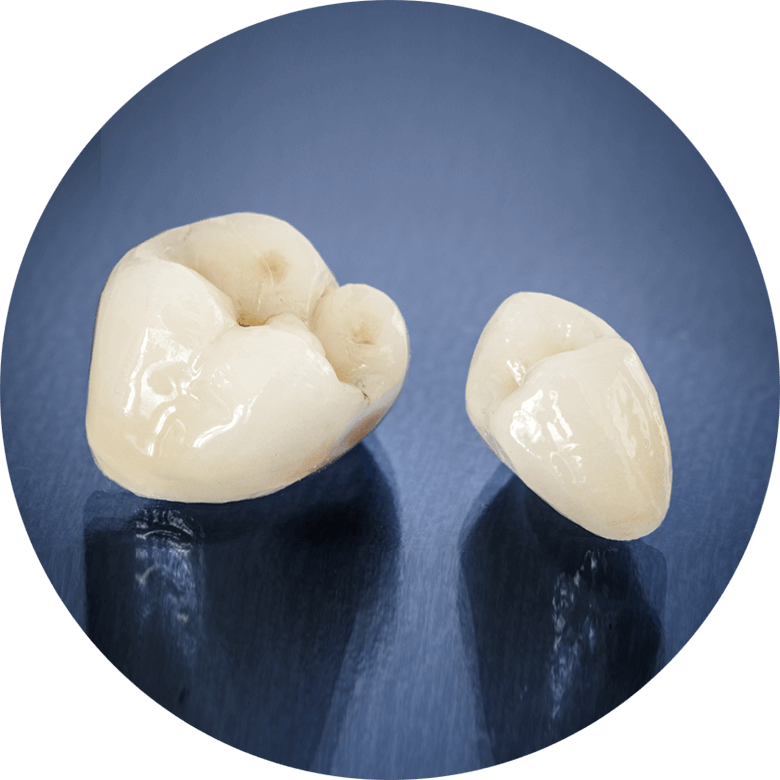 Dental Crown Molar and Incisor On Table